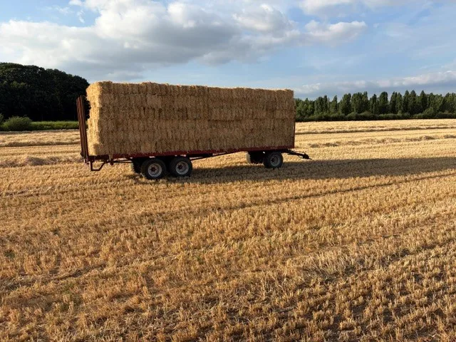 Een wagen vol balen op het land, in de avondzon